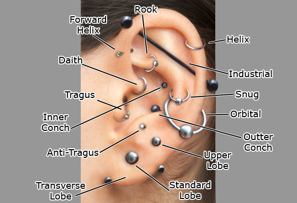 Ear Piercing Diagram 