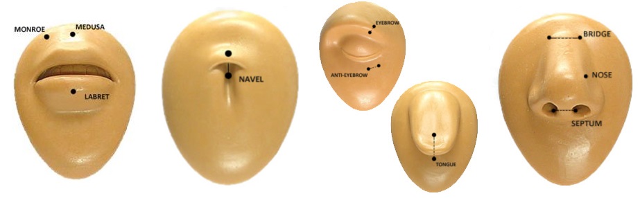 Lip Piercing, Tongue Piercing, Eyebrow Piercing, & Nose Piercing Diagrams
