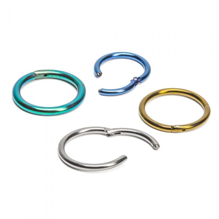 Segment Ring, Captive Ring, Earring, Titanium Segment Ring