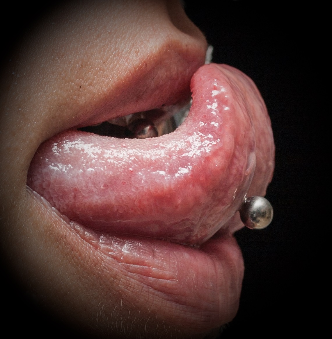 Photo of curled tongue with stainless steel barbell in piercing
