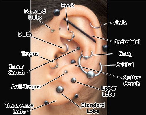 Ear Piercing Diagram, Types of Ear Piercings, Cartilage Piercings, Ear Piercings