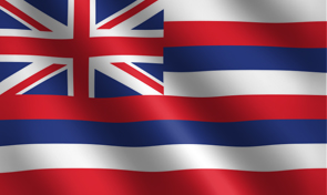 Hawaii State Flag