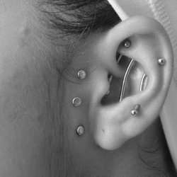 Earlobe & Cartilage Piercings Are Considered Professional in Most Companies