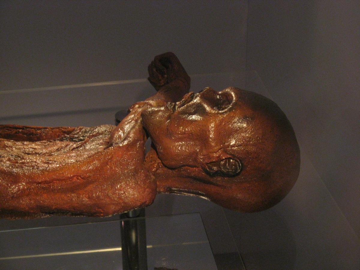 Otzi the Iceman in the South Tyrol Museum of Archaeology in Bolzano, South Tyrol, Italy