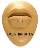Dolphin Bites Piercing Placement