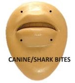 Shark Bites Piercing Placements