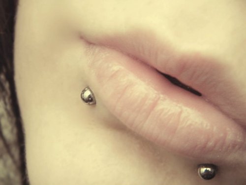 Snake Bites Piercing Placement (compliments of tattoo-body-art.net) Snake Bites Piercing Placement (compliments of tattoo-body-art.net)