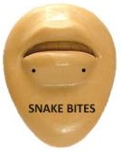 Snake Bites Piercing Placements