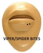Spider Bites Piercing Placement (Also Known as Viper Bites)