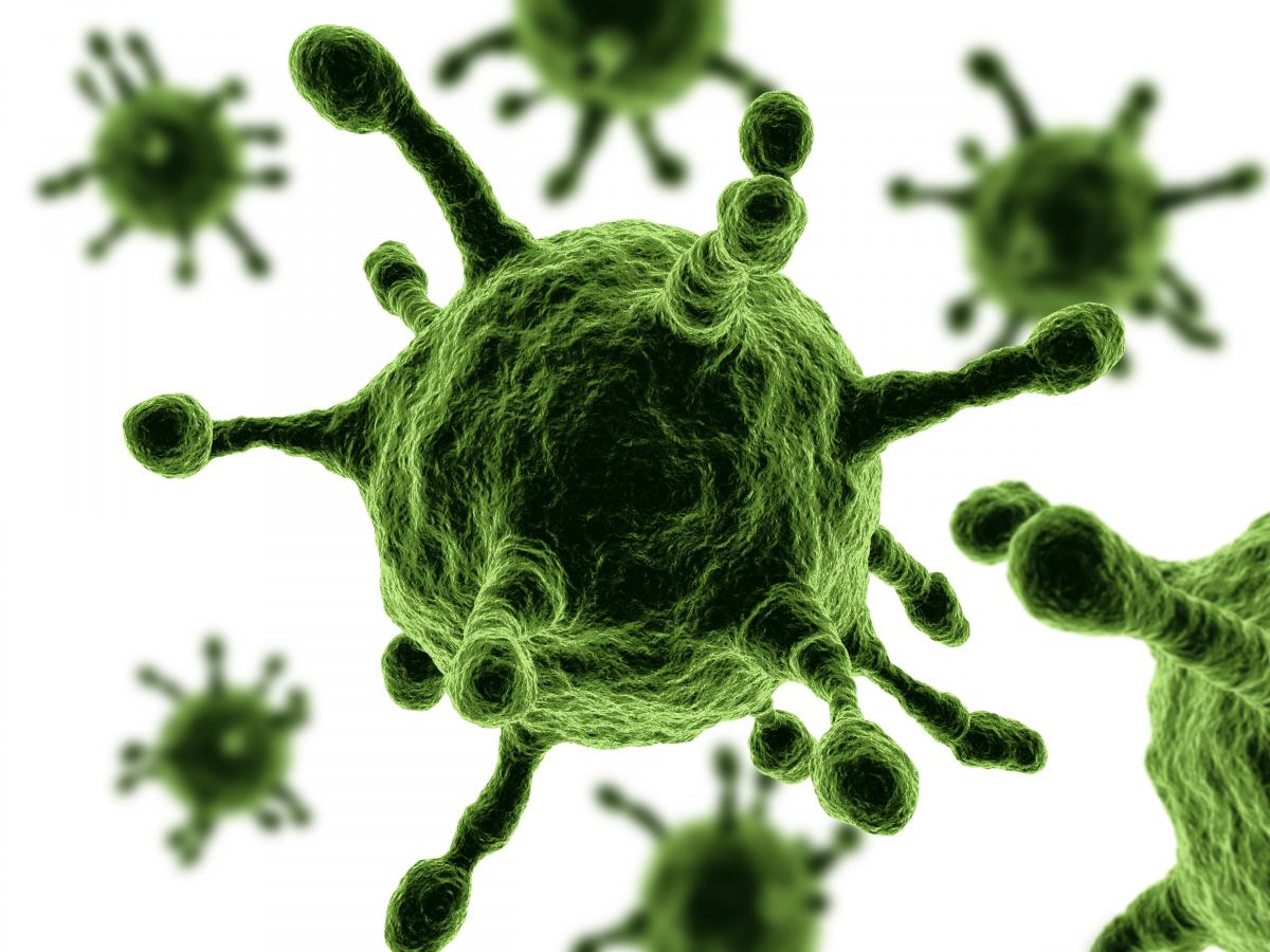 Picture of the MERS Virus 