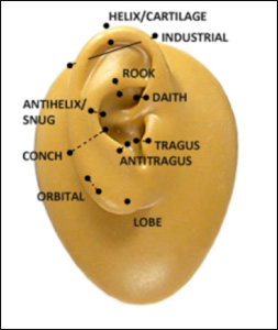 Types of Ear Piercings 