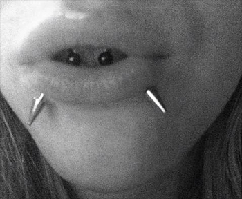 Smiley Piercing and Snake Bites Piercings Picture From the Painful Pleasures Gallery 