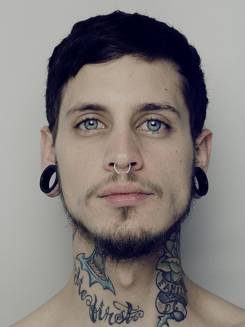 Man With Septum Piercing, Stretched Ears and Tattoos | Nose Piercing Pictures Man With Septum Piercing, Stretched Ears and Tattoos | Nose Piercing Pictures