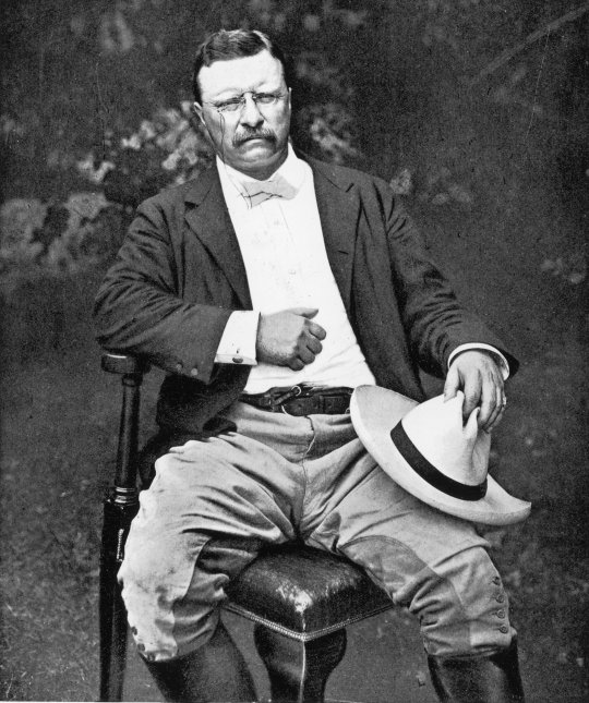 Teddy Roosevelt tattoo, president tattoo