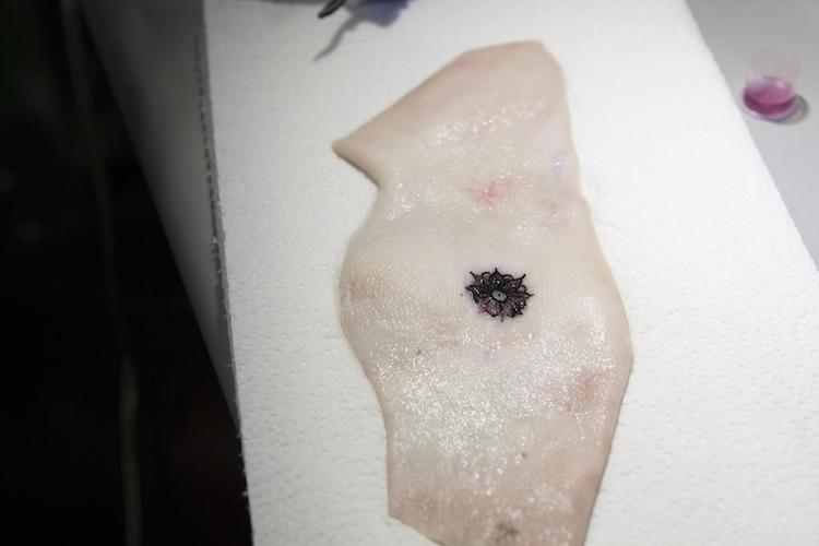 pig skin, tattoo technology, biosensor