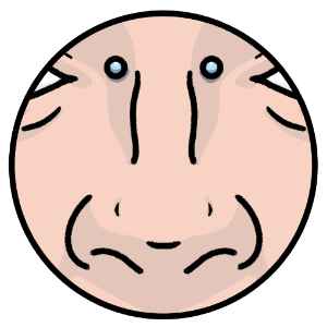 illustrated nose with nasal bridge piercing