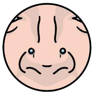 illustrated nose with nasallang piercing