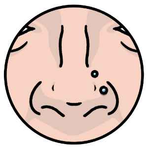 illustrated nose with nostril piercing