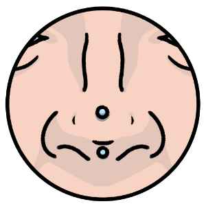 illustrated nose with rhinoceros piercing